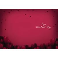 My One and Only Me to You Bear Valentine's Day Card Extra Image 1 Preview